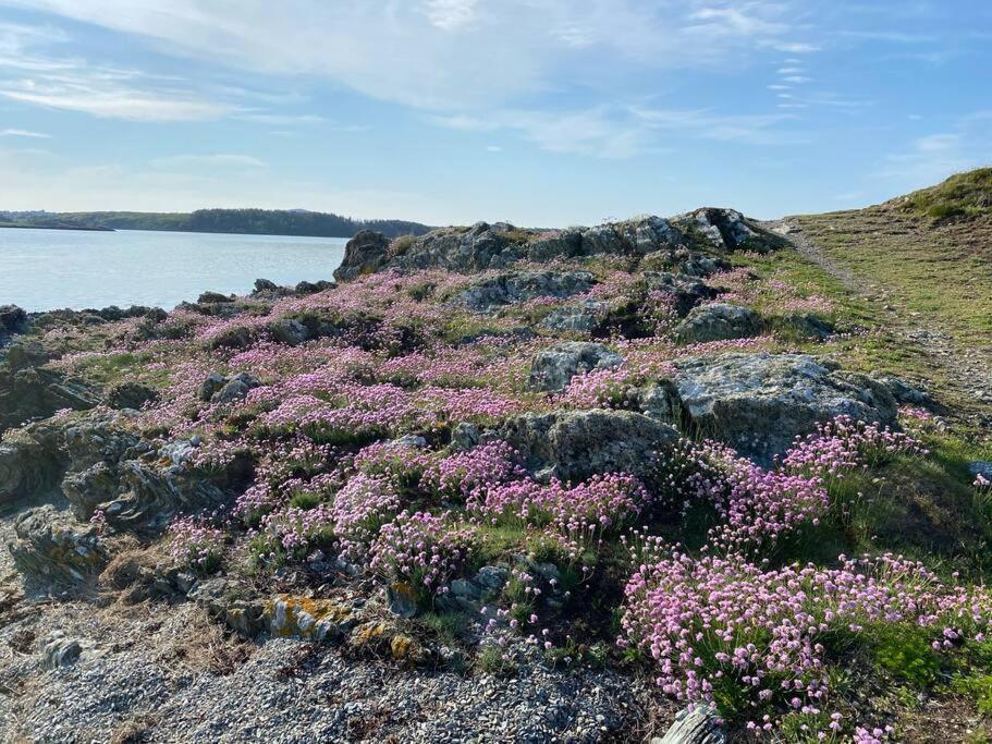 Entire Guest Suite In Four Mile Bridge, Rhoscolyn فالي المظهر الخارجي الصورة